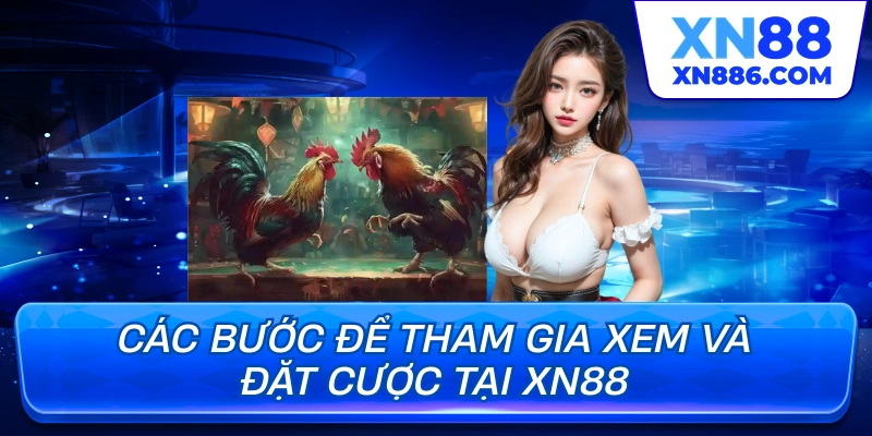 Các bước để tham gia xem và đặt cược tại XN88