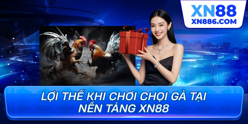 Lợi thế khi chơi chọi gà tại nền tảng XN88